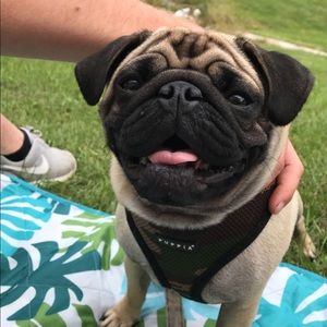 Meet your Posher, Bryce